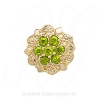 GS099 PD Clasp 